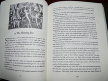 Load image into Gallery viewer, The Valley of Secrets by Charmaine Hussey - Signed - Everlasting Editions